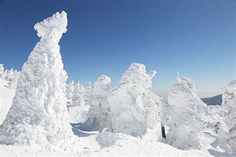 Miyagi Zao Ice Monster Tour Japan Ski Guide