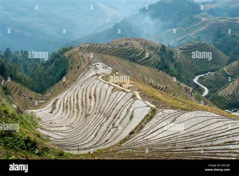 Longsheng Rice Terraces Longji Terraced Fields Near Guilin Guangxi