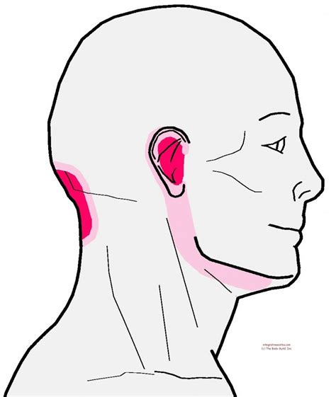 Referral Rectus Capitus Anterior And Lateralis Headache Relief Instant Migraine Relief