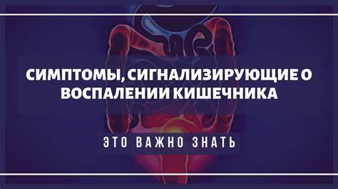 Воспаление кишечника диеты Основные симптомы воспаления кишечника - YouTube Основные симптомы воспаления кишечника - YouTube Воспаление кишечника диеты