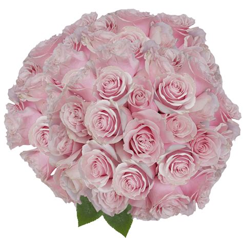 Pink Mondial Roses Flower Delivery Globalrose