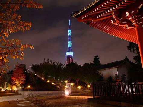 japan tokyo trees cityscapes tower japanese city lights tokyo towers wallpapers hd