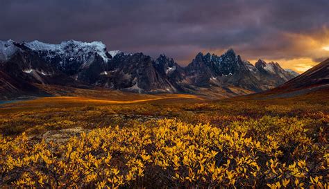 Yukon Gold By Bsâm On 500px Cool Landscapes Landscape Pictures
