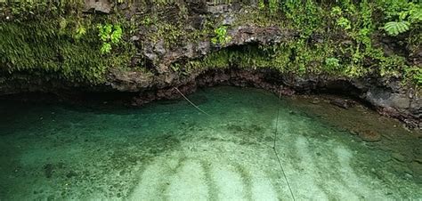 Piula Cave Pool Upolu 2020 What To Know Before You Go