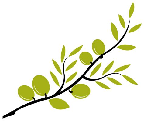 Olive Branch Logo Png Clipart Best