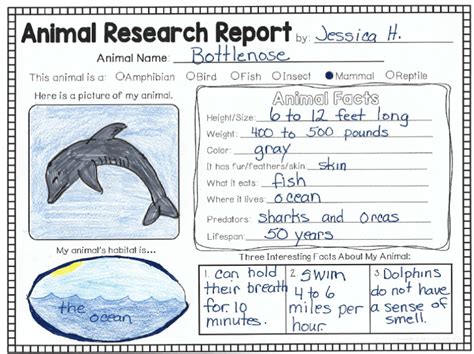 Animal Research Bracken 1st Grade