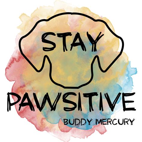 Stay Pawsitive Contest Buddy Mercury