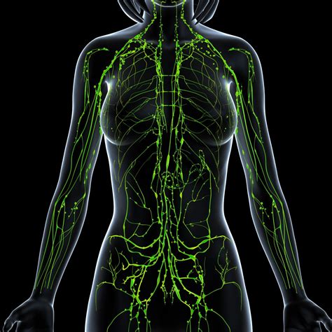 Podcast 97 Whole Body Pain Is Helped With Lymphatic System
