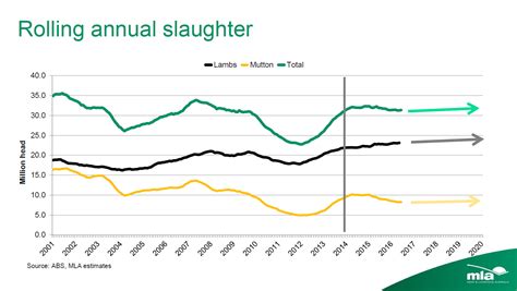 Lamb Marking Rates Offsetting Lower Ewe Numbers Says Mla In Latest