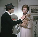 Marcello Mastroianni e Sophia Loren In “Ieri, oggi, domani” | Chill ...