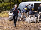 Bild zu Ebonee Noel - FBI: Special Crime Unit : Bild Ebonee Noel - Foto ...