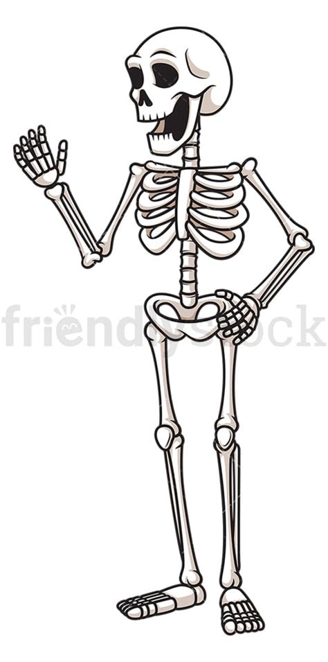 Happy Human Skeleton Cartoon Clipart Vector Friendlystock