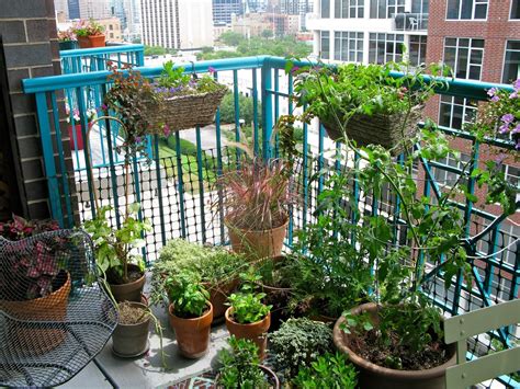25 Easy Apartment Gardening Ideas For Beginners Balcony Herb Gardens