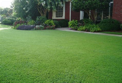 Organic lawn care uses a whole systems approach to maintaining your lawn without toxic chemicals. Organic lawn care photo gallery | Simply Organic Turf Care