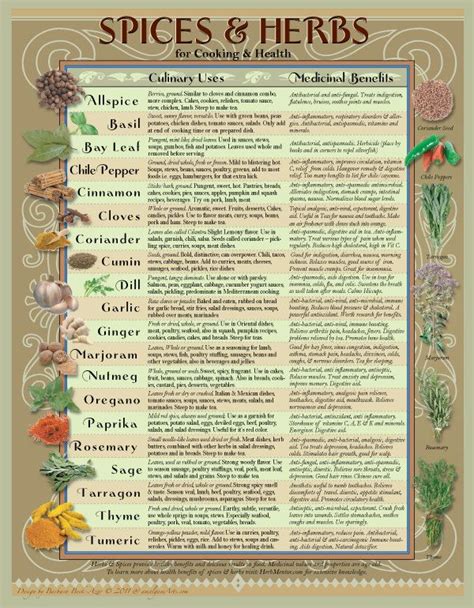 Digital Kitchen Chart Healing Herbs And Spices Etsy Healing Herbs
