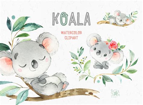 Koala Kleine Tiere Aquarell Clipart Australien Koala Bär Etsy