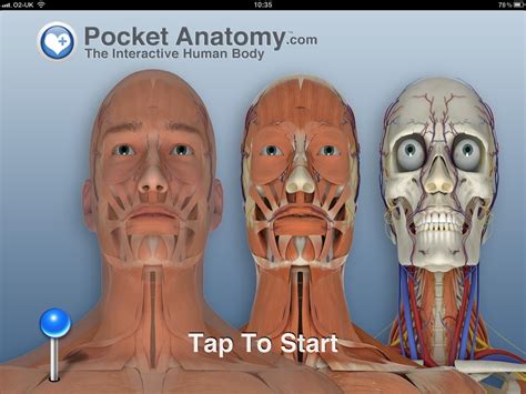 Pocket Body 3d The Way Anatomy Apps Should Be On The Ipad