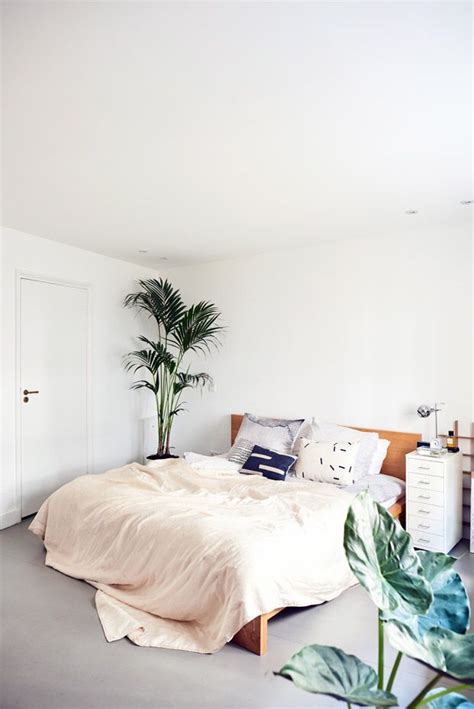Aesthetic Minimalist Plant Bedroom Decor