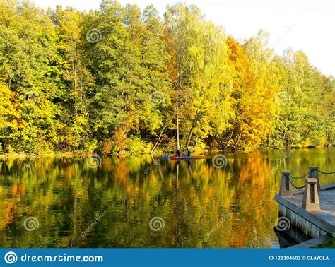Golden Autumn On The Lake Reflection In The Water Of Yellow Fol Stock