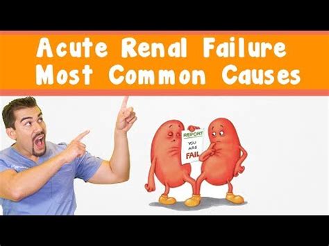 Etiology, physiopathology, diagnosis, principles of treatment]. 3 Causes of Acute Renal Failure *Part 2* (OTHER THAN Toxic ...