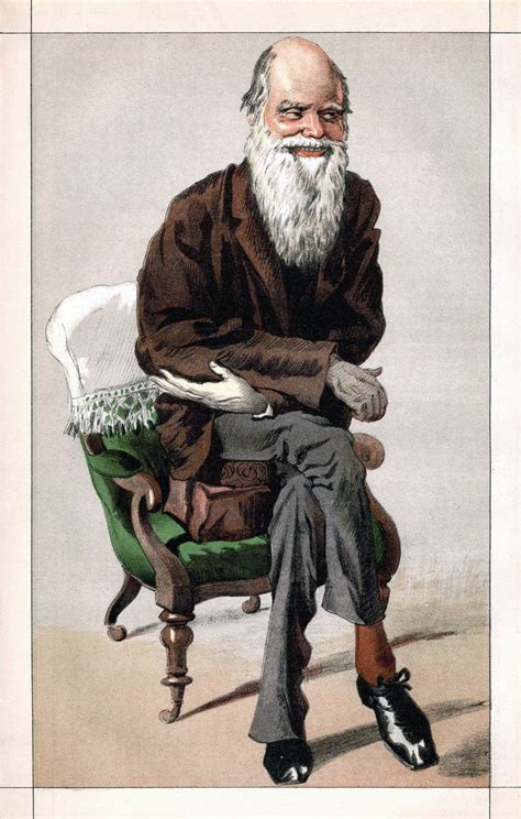 Portrait Of Charles Darwin Posters And Prints By Corbis