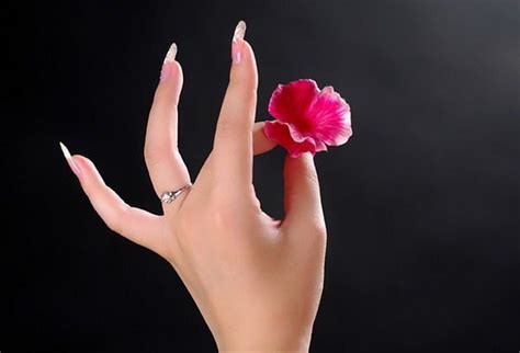 Fingers Length Meanings And Personality Finger Palm Reading