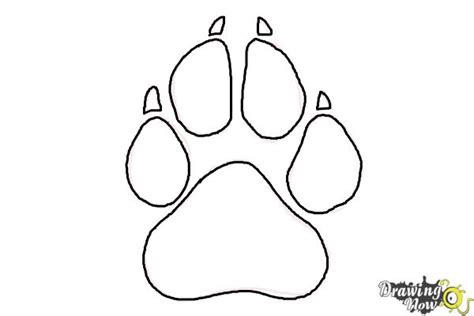 How To Draw A Paw Print Drawingnow