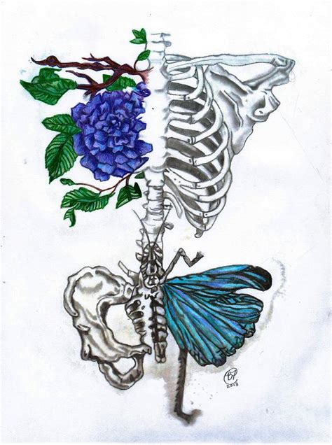 Fragile Bones Drawing By Becca Fieken Fine Art America