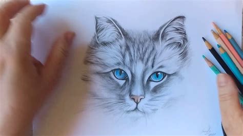 Como Desenhar Um Gato Realista Usando Apenas Lápis De Cor Youtube