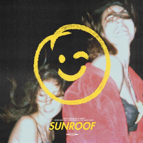 sunroof courtship 单曲 网易云音乐