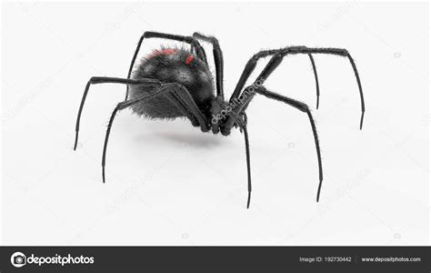 Realistic Render Black Widow Spider — Stock Photo © 3drenderings 192730442