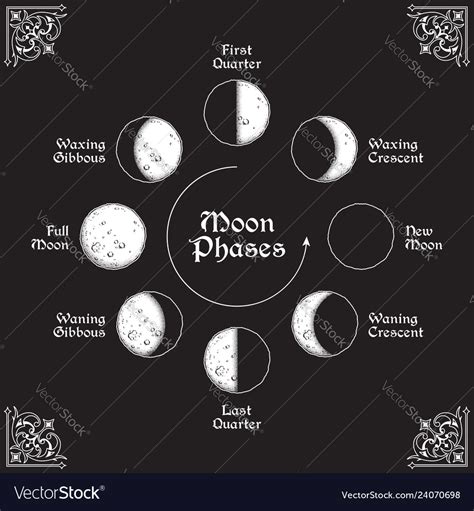 Collection Pictures Phases Of The Moon In A Circle Excellent