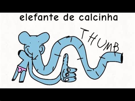 Elefante De Calcinha Kk Youtube