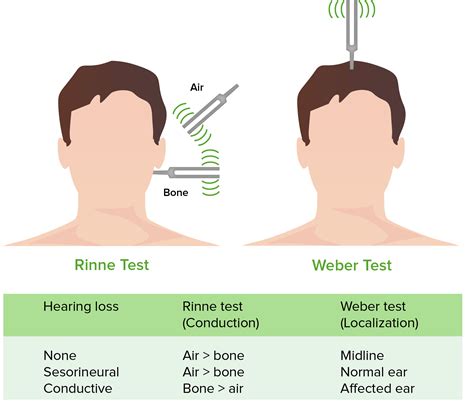 Head And Neck Examination Concise Medical Knowledge