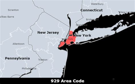 Get A 929 Area Code Number For Local Business In New York Easyline