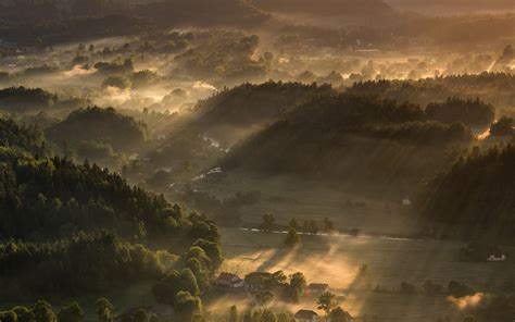 Nature Landscape Sunbeams Sunrise Mist Forest Village Trees Sun