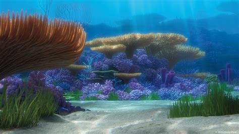 Finding Nemo Arrecife De Coral Virtual Backgrounds