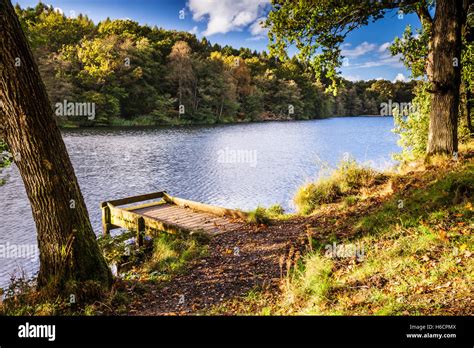 Cannop Ponds In The Forest Of Dean Gloucestershire Stock Photo Alamy