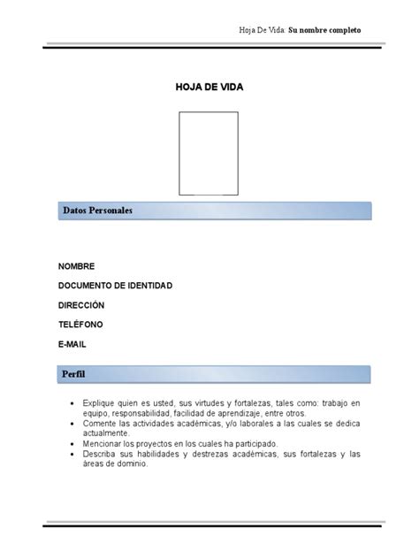 Formato Hoja De Vida Pdf Bogotá Universidad