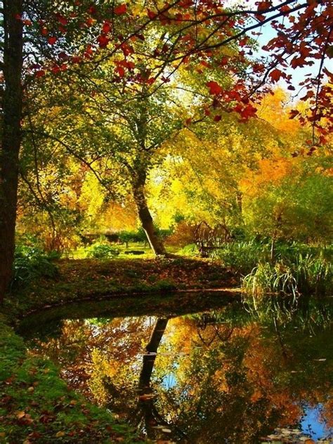 Pin By Q N On لوحة وابداع Autumn Landscape Beautiful Landscapes