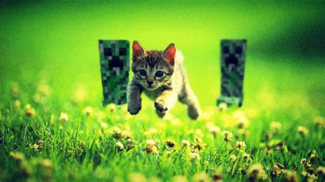 Minecraft Cats Wallpapers Wallpapersafari