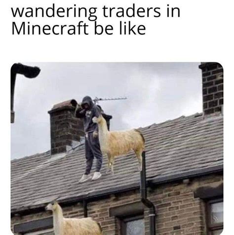 70 Dank Minecraft Memes That Only Fans Can Relate To Inspirationfeed