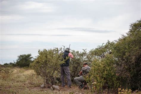 Dove Shooting Argentina Ian Coley Sporting