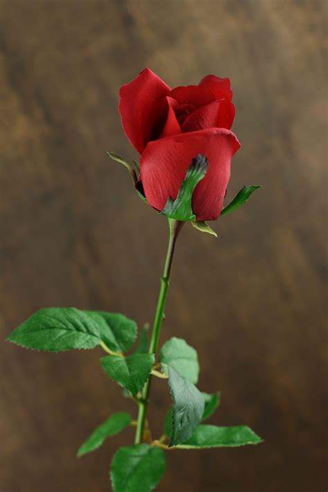 12 Long Stem Silk Ecuador Red Rose Buds Beautiful Flowers Rose