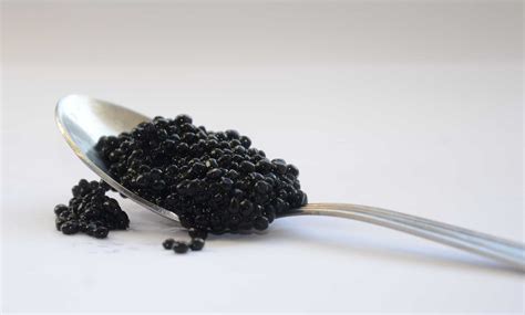 Последние твиты от caviar (@caviar). 30 Caviar Facts You Never Knew About This Amazing Food ...