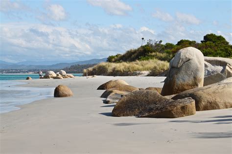 Free Images Beach Landscape Sea Coast Nature Grass Sand Rock
