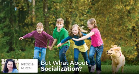 But What About Socialization