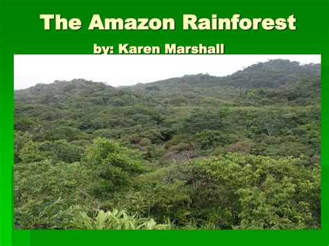 Ppt The Amazon Rainforest By Karen Marshall Powerpoint Presentation