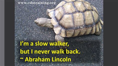 Im A Slow Walker But I Never Walk Back Inspirational Quotes And More