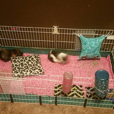2x5 2x6 3 Layer Fleece Bedding Pet Cage Liner Guinea Pig Etsy